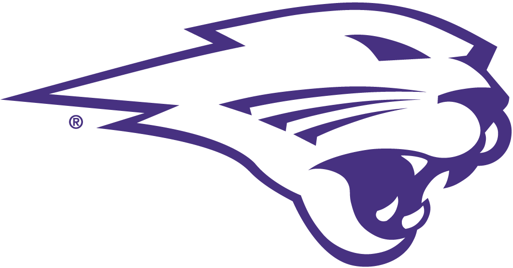 Northern Iowa Panthers 2002-Pres Partial Logo v2 iron on transfers for T-shirts